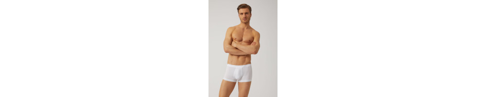 Slip - Boxer -  Calzini - T-shirt - Calza - Lupetto